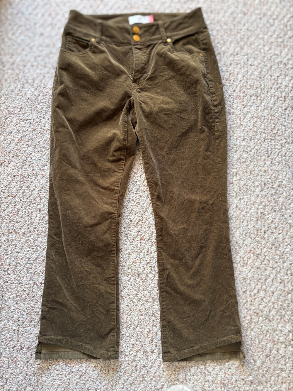Cabi Women 6 Hi Low Crop Fine Corduroy Mushroom Stretch Pants Bottoms Pockets